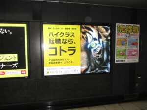 半蔵門線大手町駅のコトラ看板広告